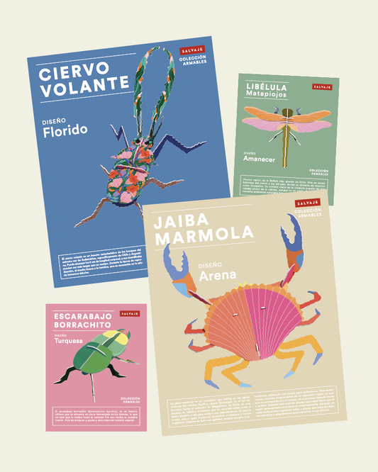 Pack Aniversario - 10 años salvajeando