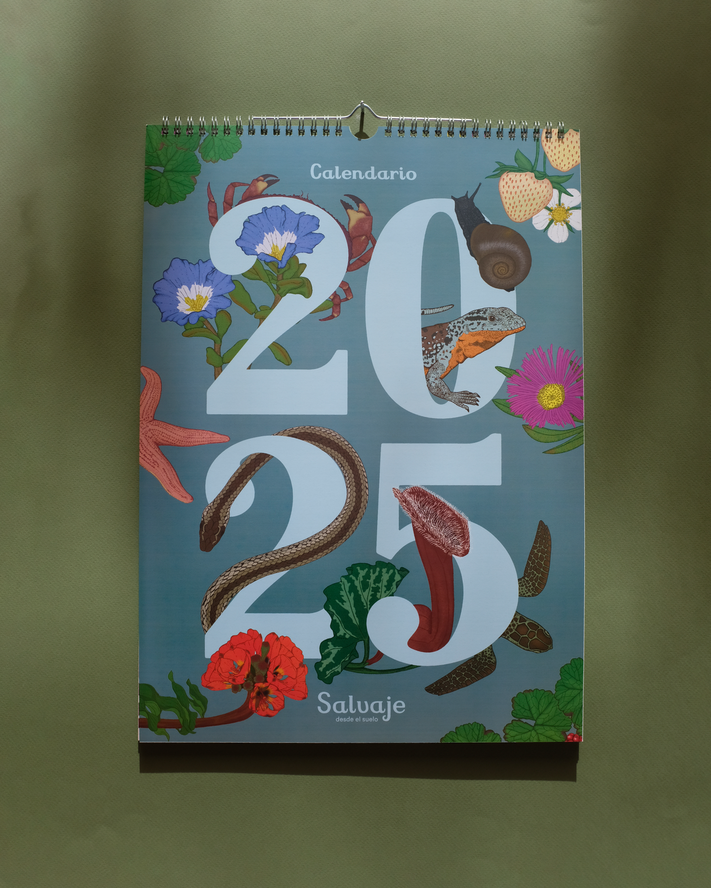 Calendario Ilustrado de pared 2025 con gancho para colgar.
Medidas 29,7 x 42 cm y su papel couche opaco de 250 gr.