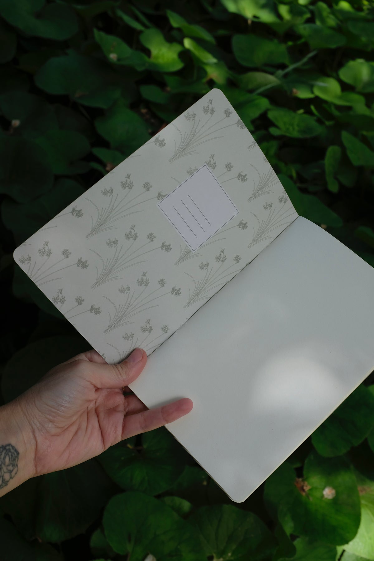 Pack 3 libretas