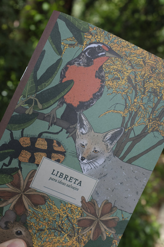 Libreta Espinal