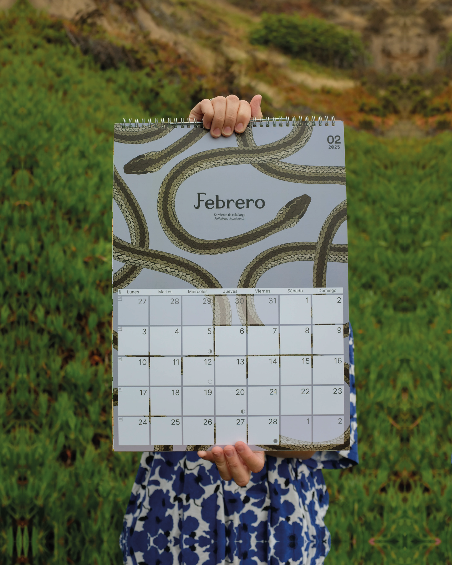 Calendario 2025