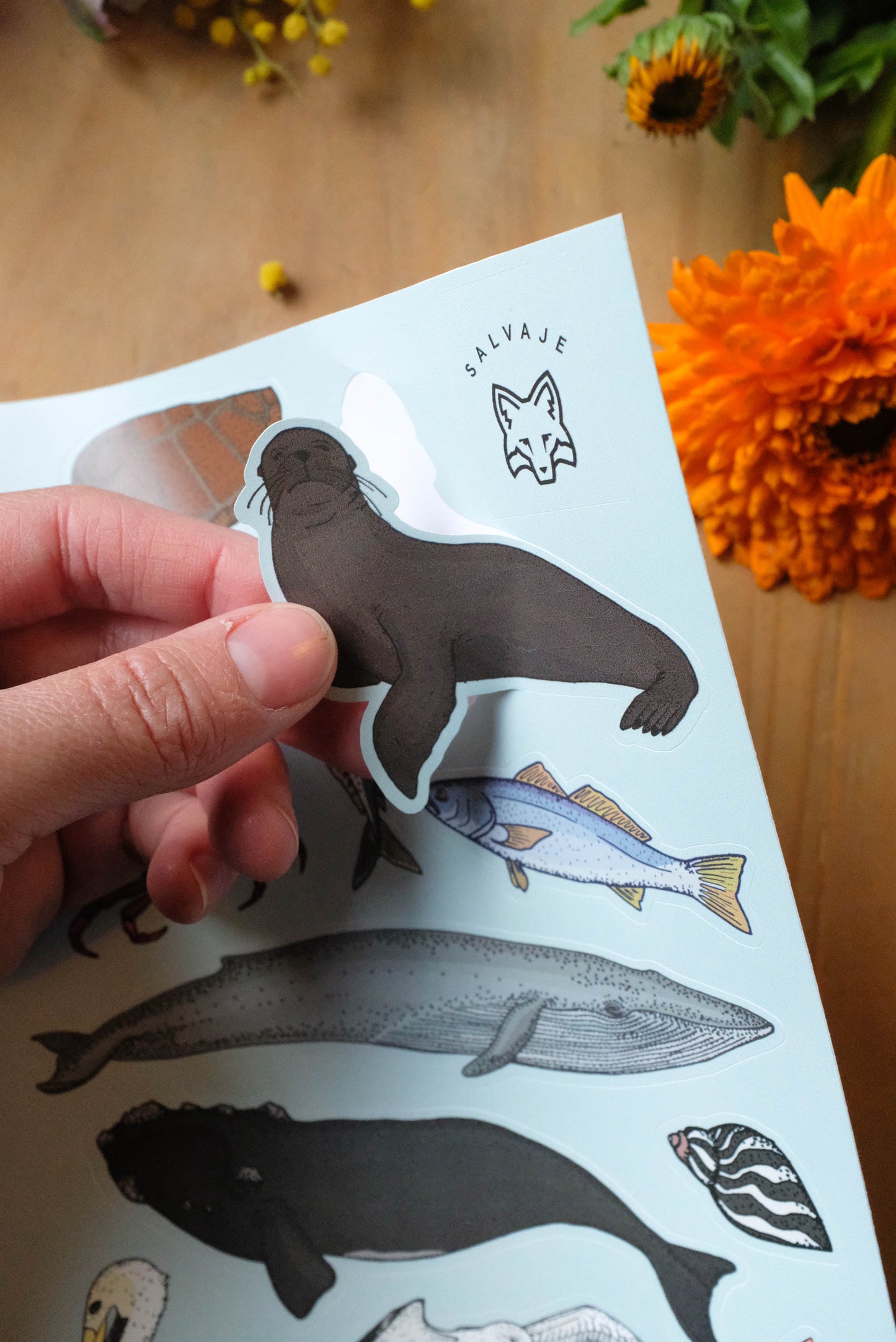 Lámina de stickers Marinos