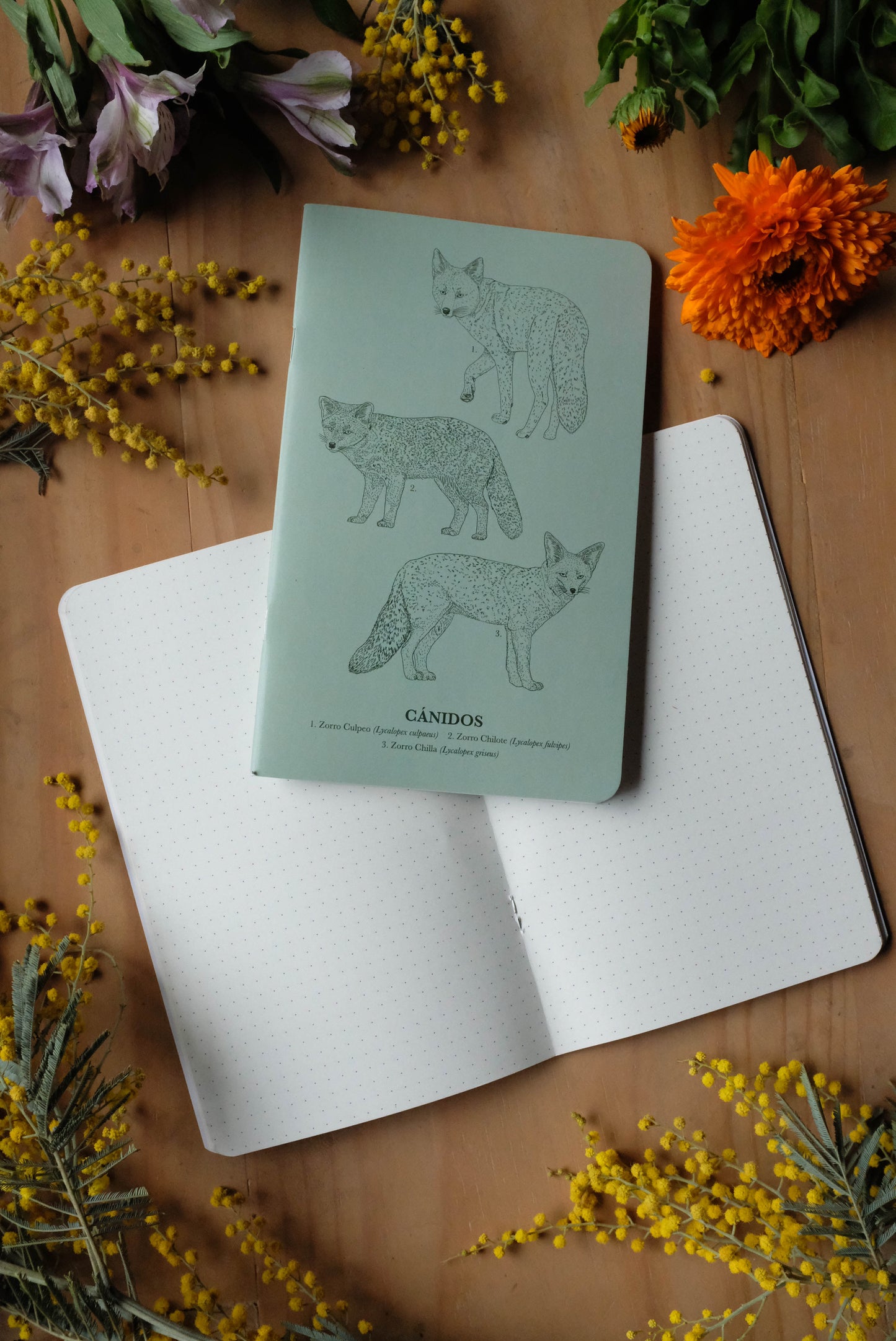 Libreta de Notas Cánidos