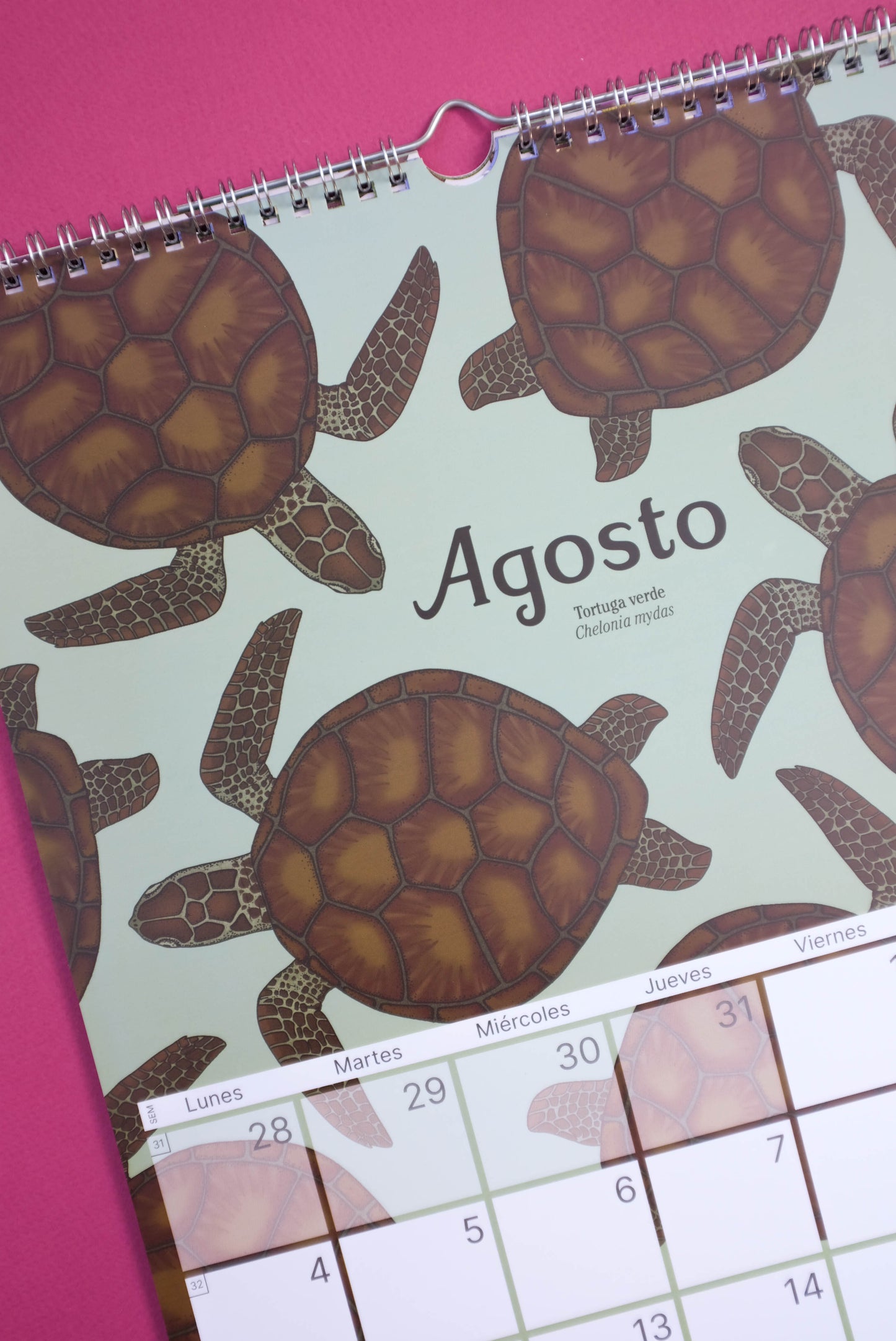 Calendario Ilustrado de pared 2025 con gancho para colgar.
Medidas 29,7 x 42 cm y su papel couche opaco de 250 gr.