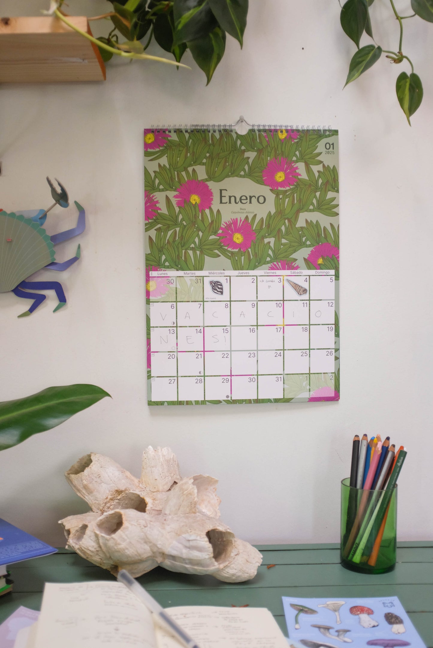Calendario Ilustrado de pared 2025 con gancho para colgar.
Medidas 29,7 x 42 cm y su papel couche opaco de 250 gr.