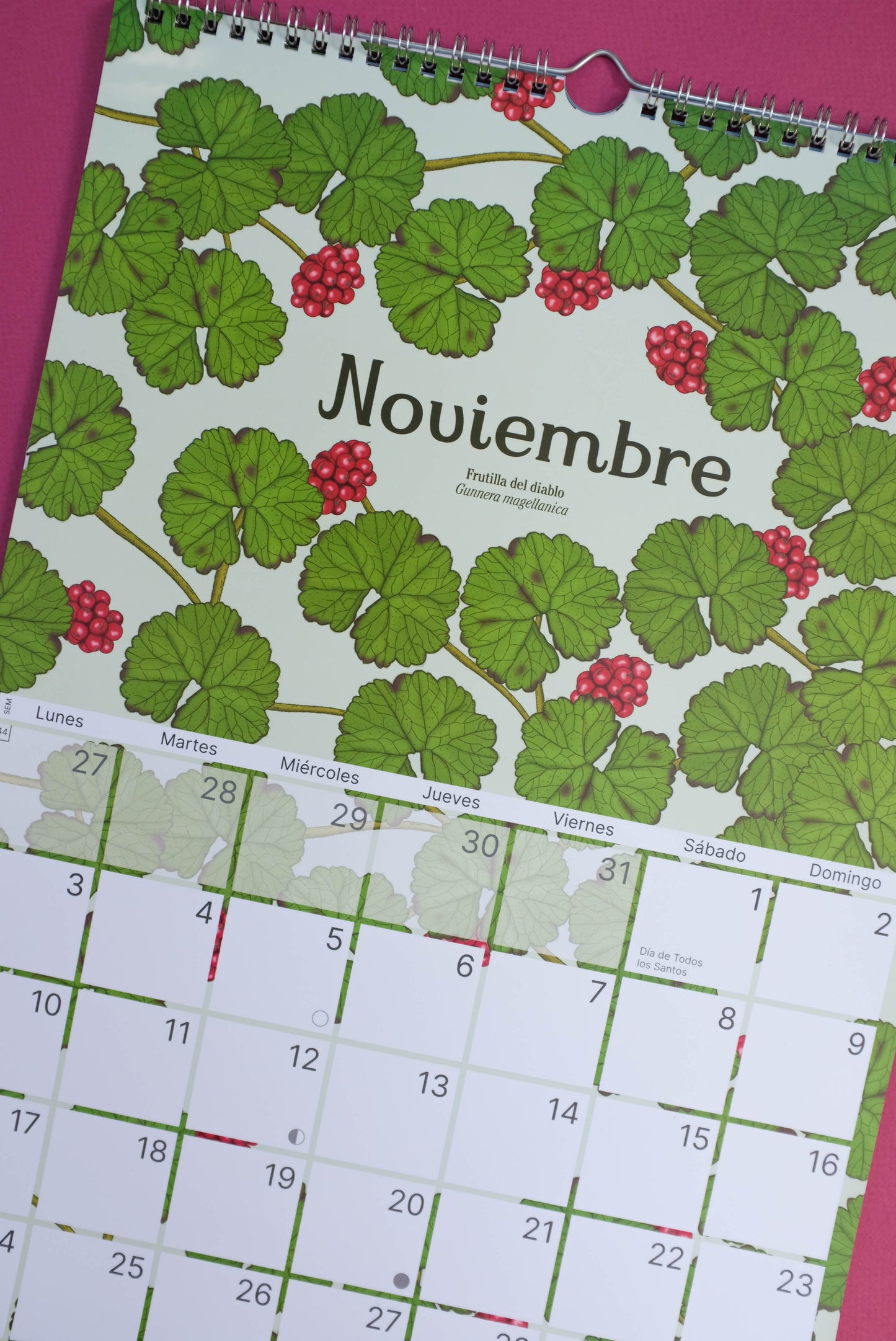 Calendario Ilustrado de pared 2025 con gancho para colgar.
Medidas 29,7 x 42 cm y su papel couche opaco de 250 gr.
