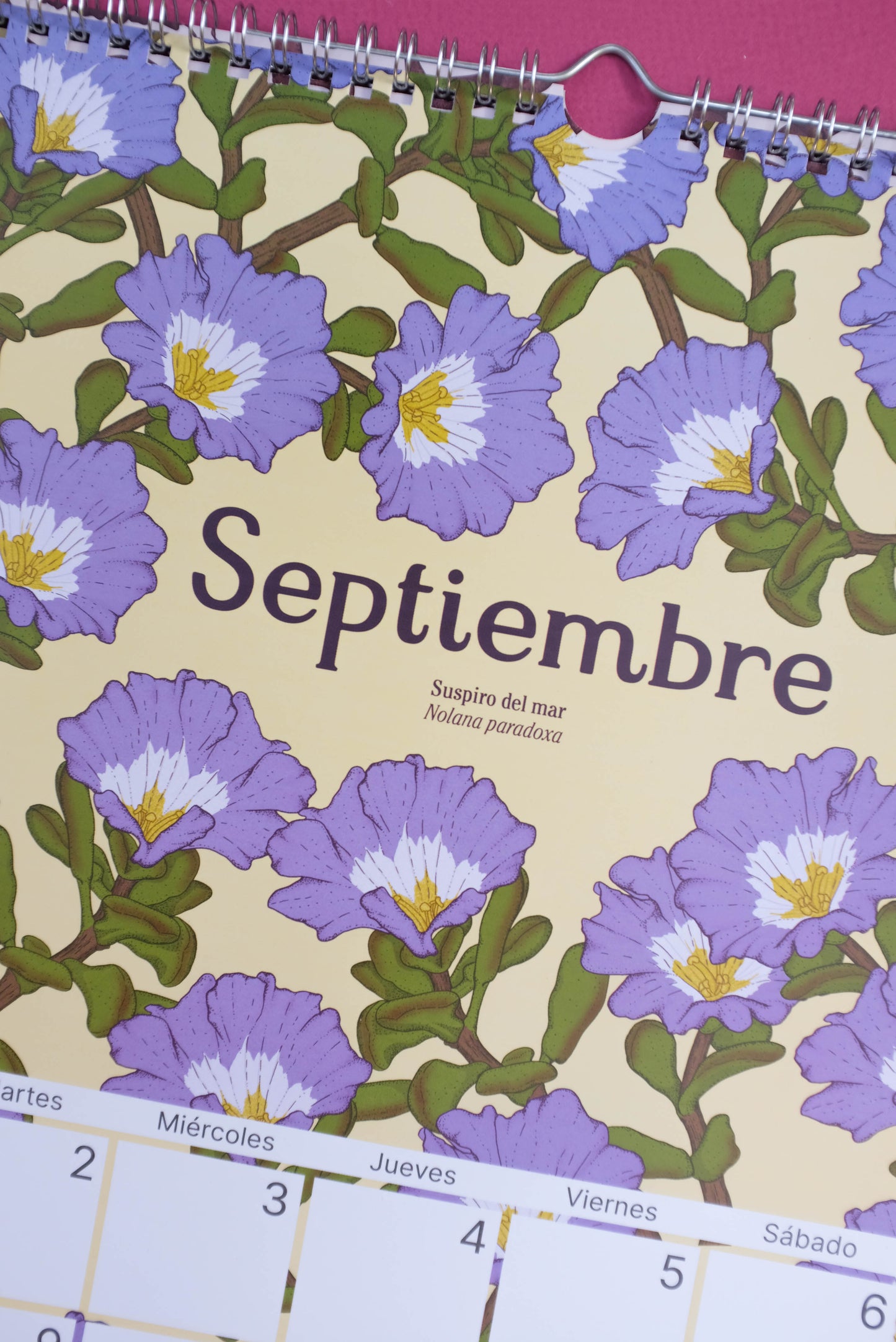 Calendario Ilustrado de pared 2025 con gancho para colgar.
Medidas 29,7 x 42 cm y su papel couche opaco de 250 gr.