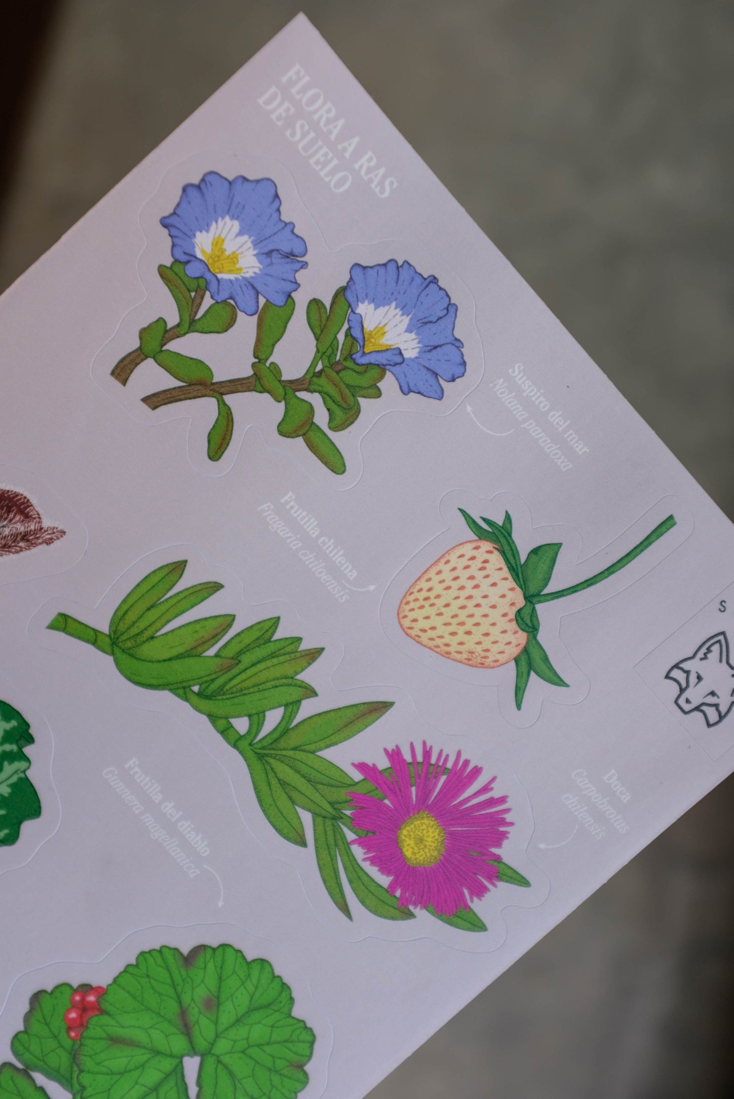 Lámina de stickers Flora a ras