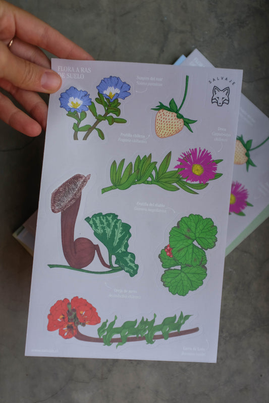 Lámina de stickers Flora a ras
