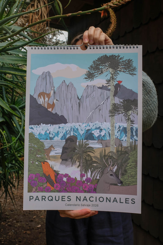 Calendario 2026 ilustrado de Parques Nacionales de Chile | Salvaje
