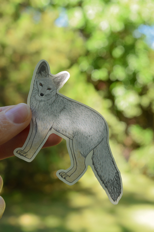 Lámina de stickers Salvaje