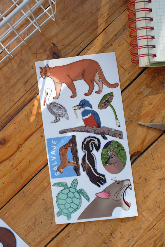 Stickers Resistentes - Puma