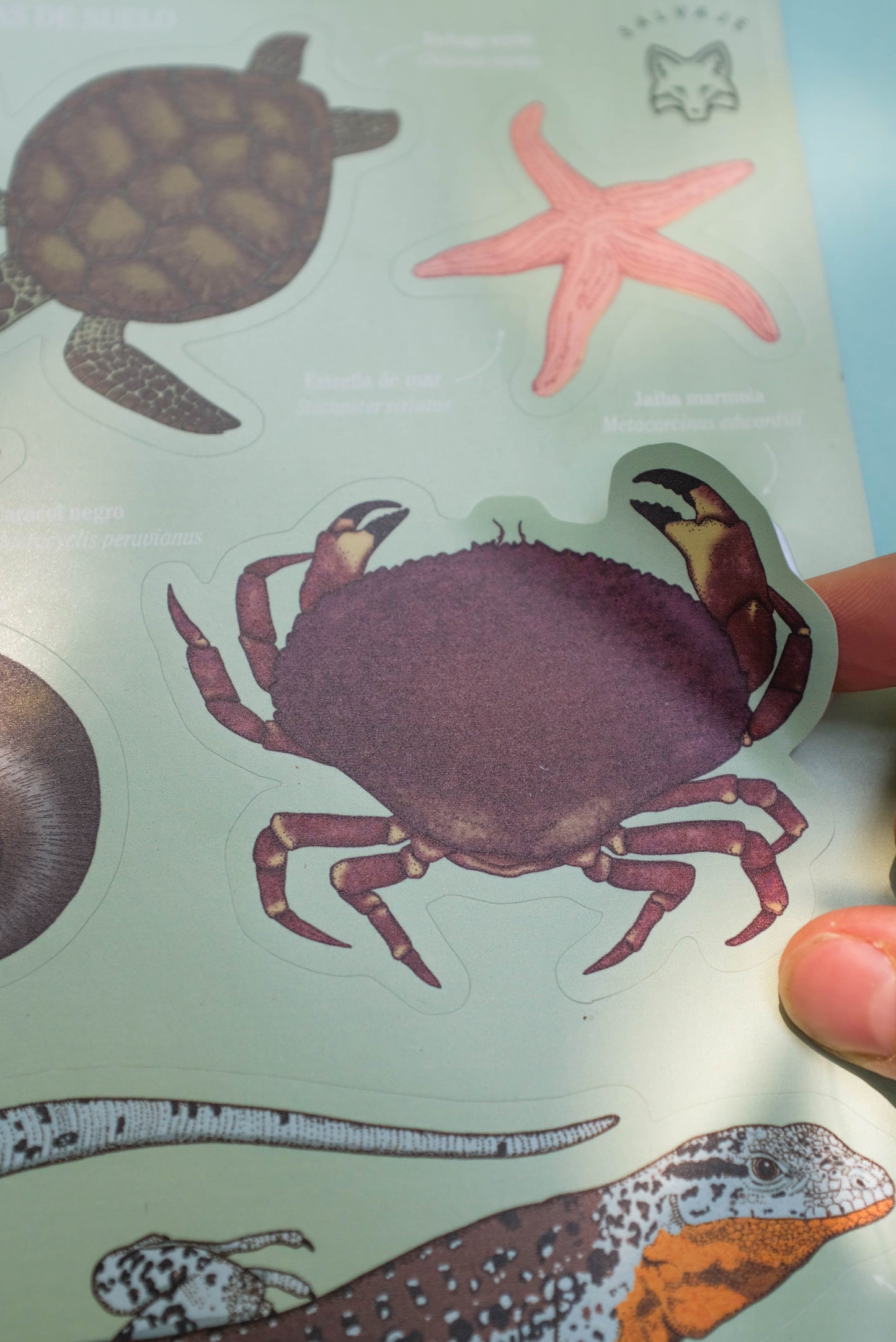 Lámina de stickers Fauna a ras