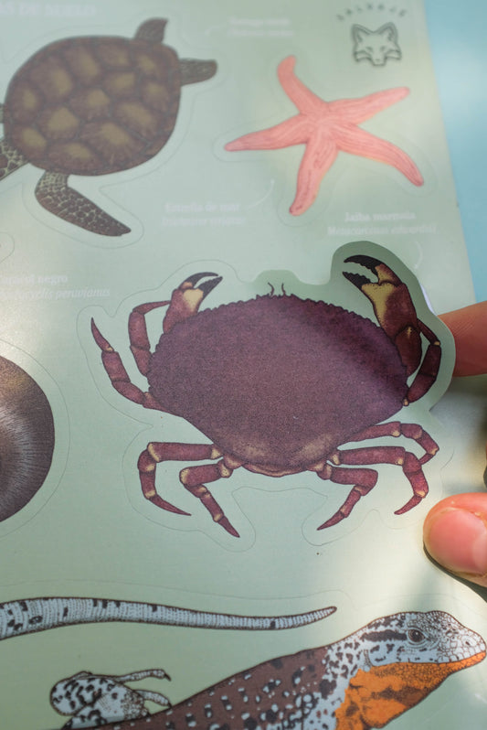Lámina de stickers Fauna a ras