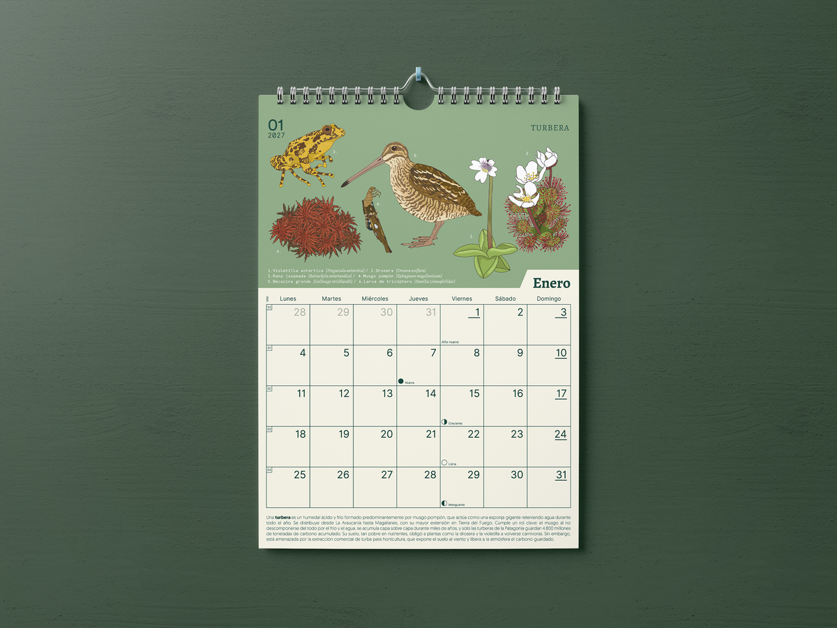 PREVENTA | Calendario 2027 ilustrado de Ecosistemas de Chile | Salvaje