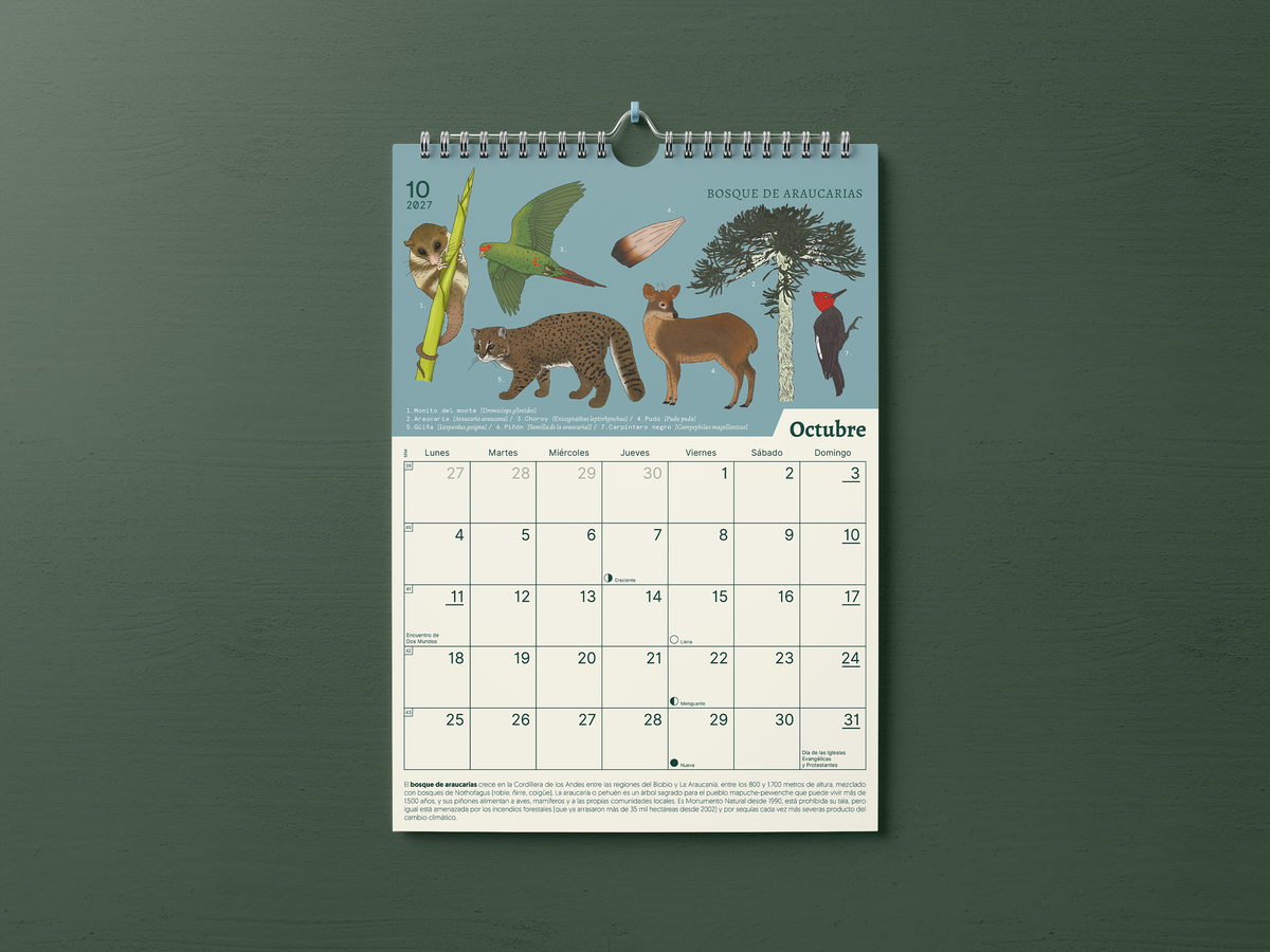 PREVENTA | Calendario 2027 ilustrado de Ecosistemas de Chile | Salvaje