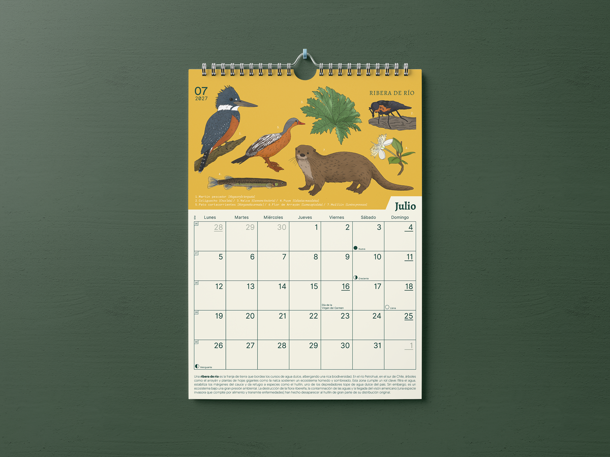 PREVENTA | Calendario 2027 ilustrado de Ecosistemas de Chile | Salvaje