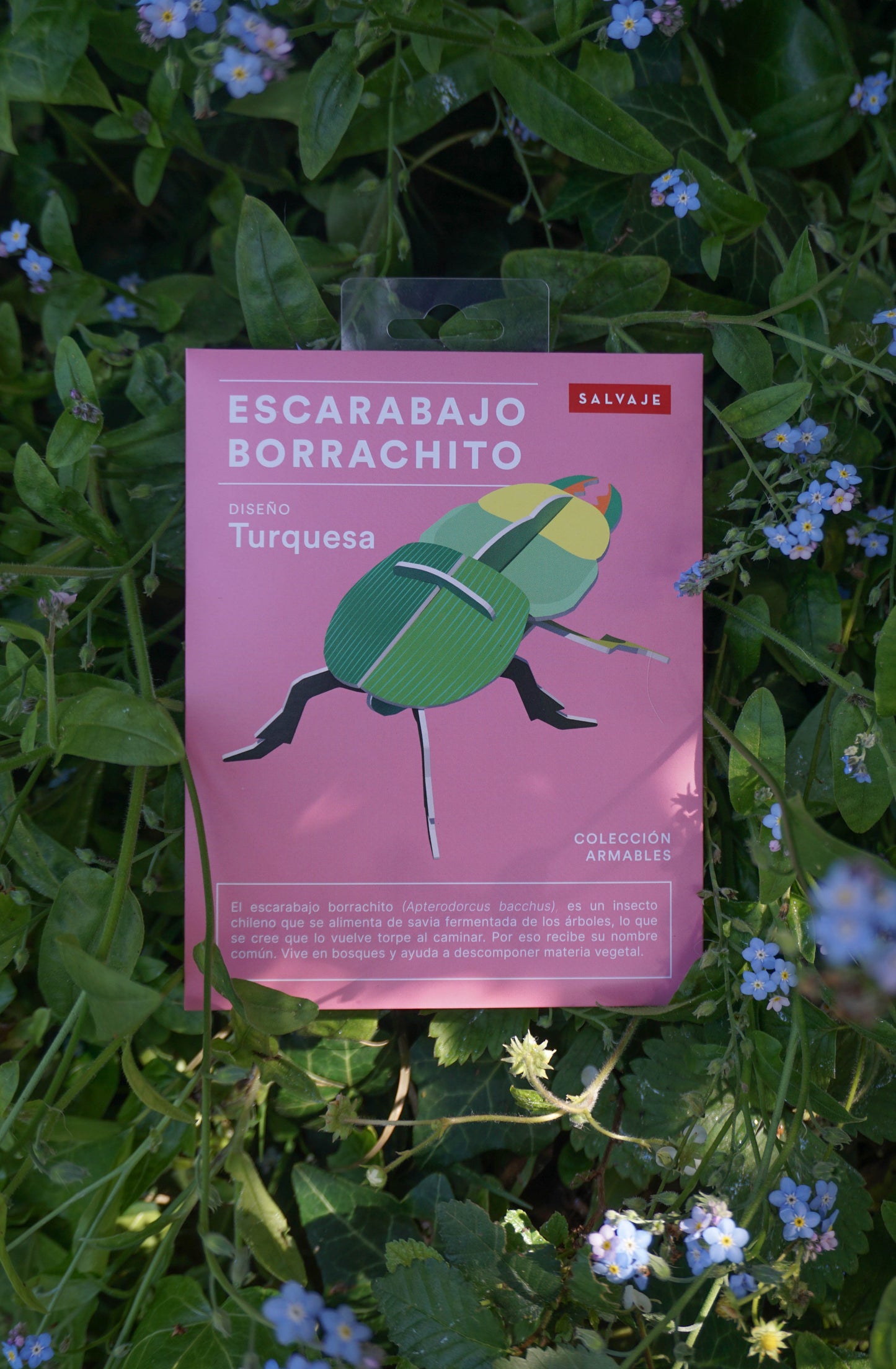 . Escarabajo borrachito | Turquesa