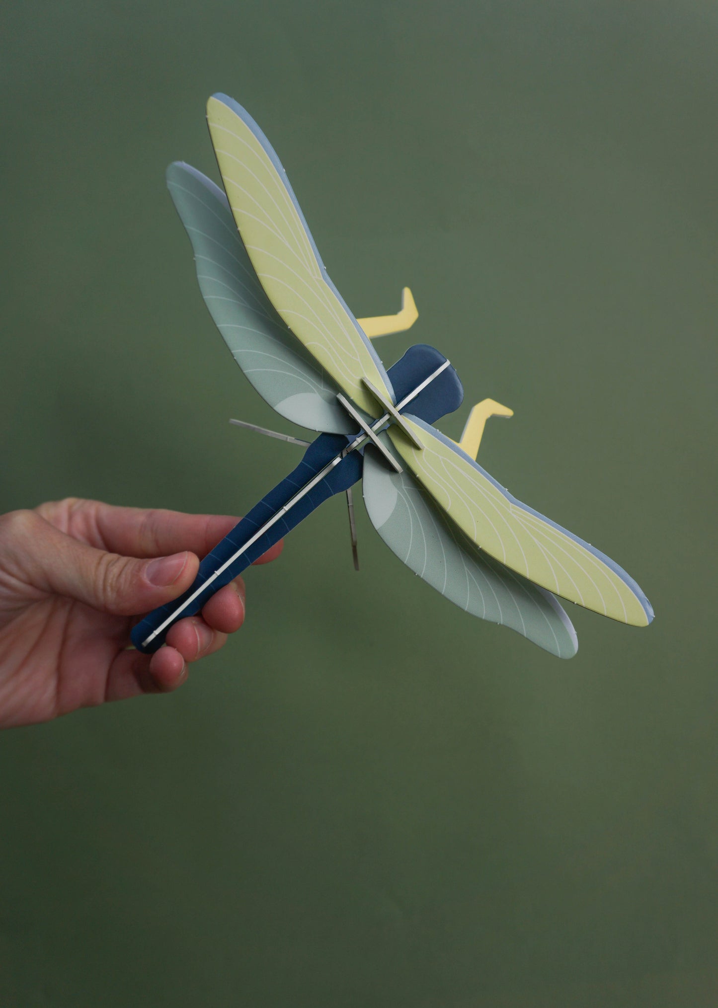 . Libélula / Matapiojos | Nocturna