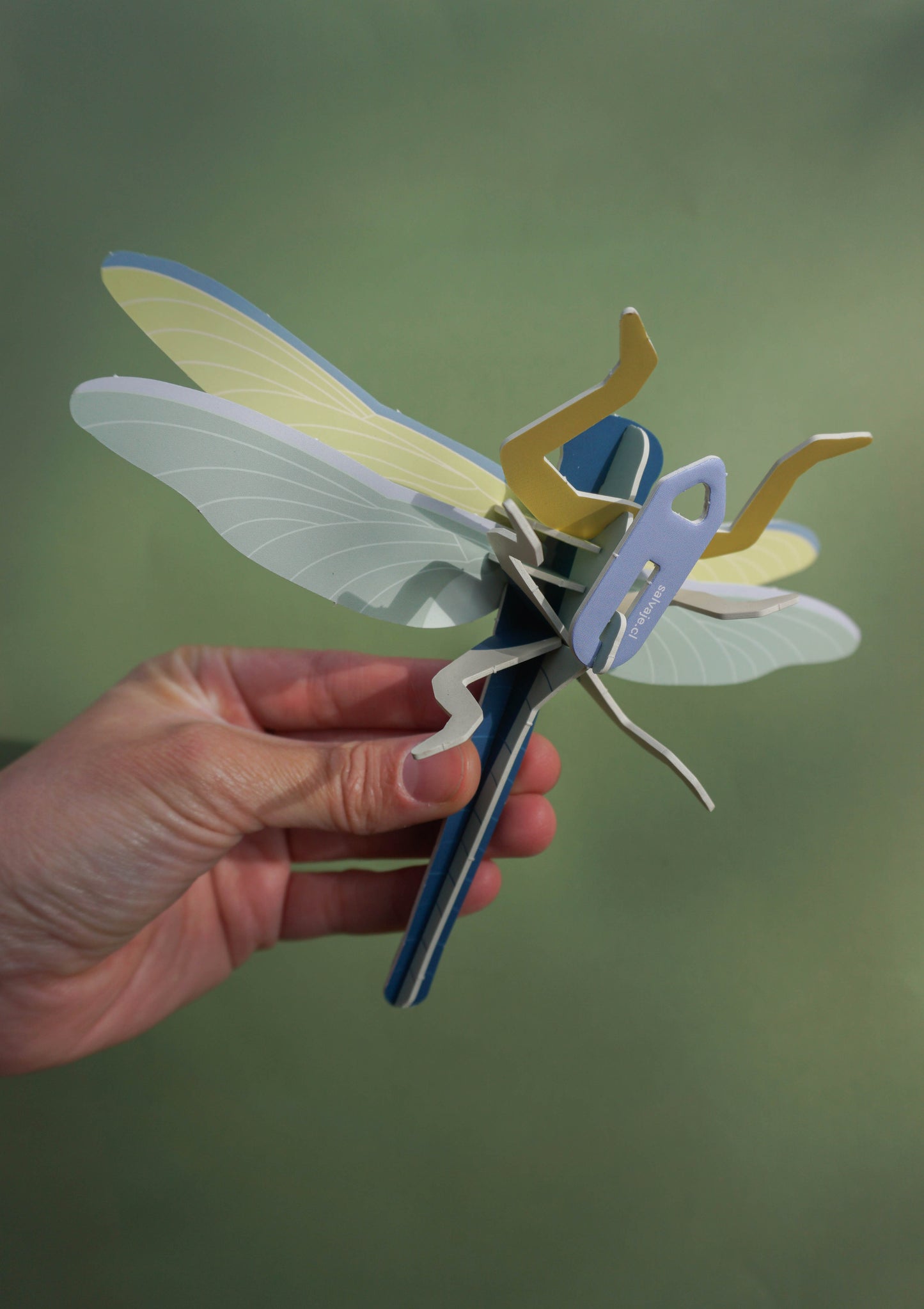 . Libélula / Matapiojos | Nocturna