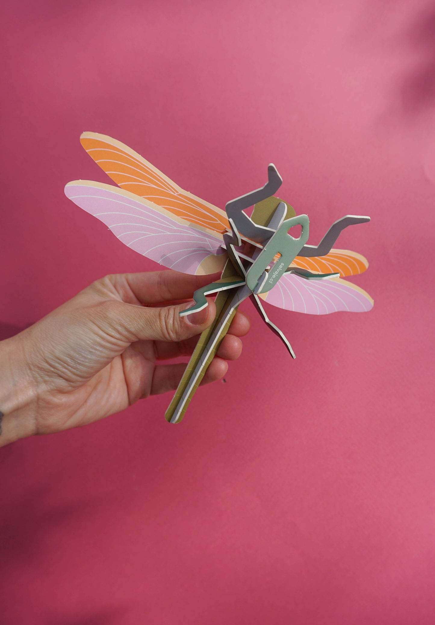 . Libélula / Matapiojos | Amanecer