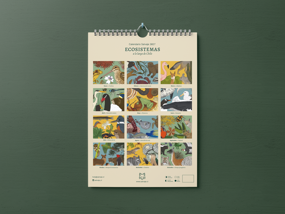 PREVENTA | Calendario 2027 ilustrado de Ecosistemas de Chile | Salvaje