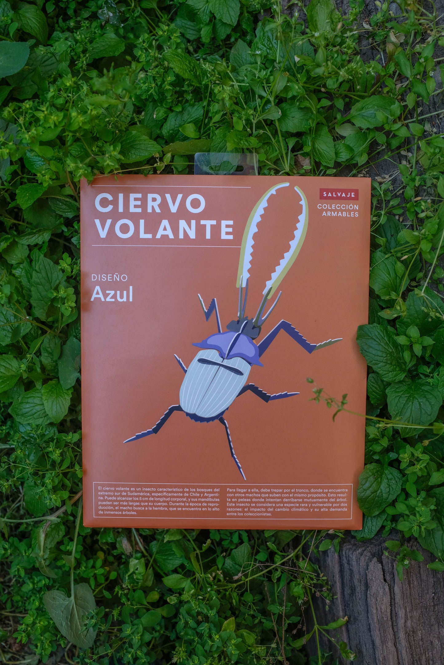 . Ciervo volante | Azul