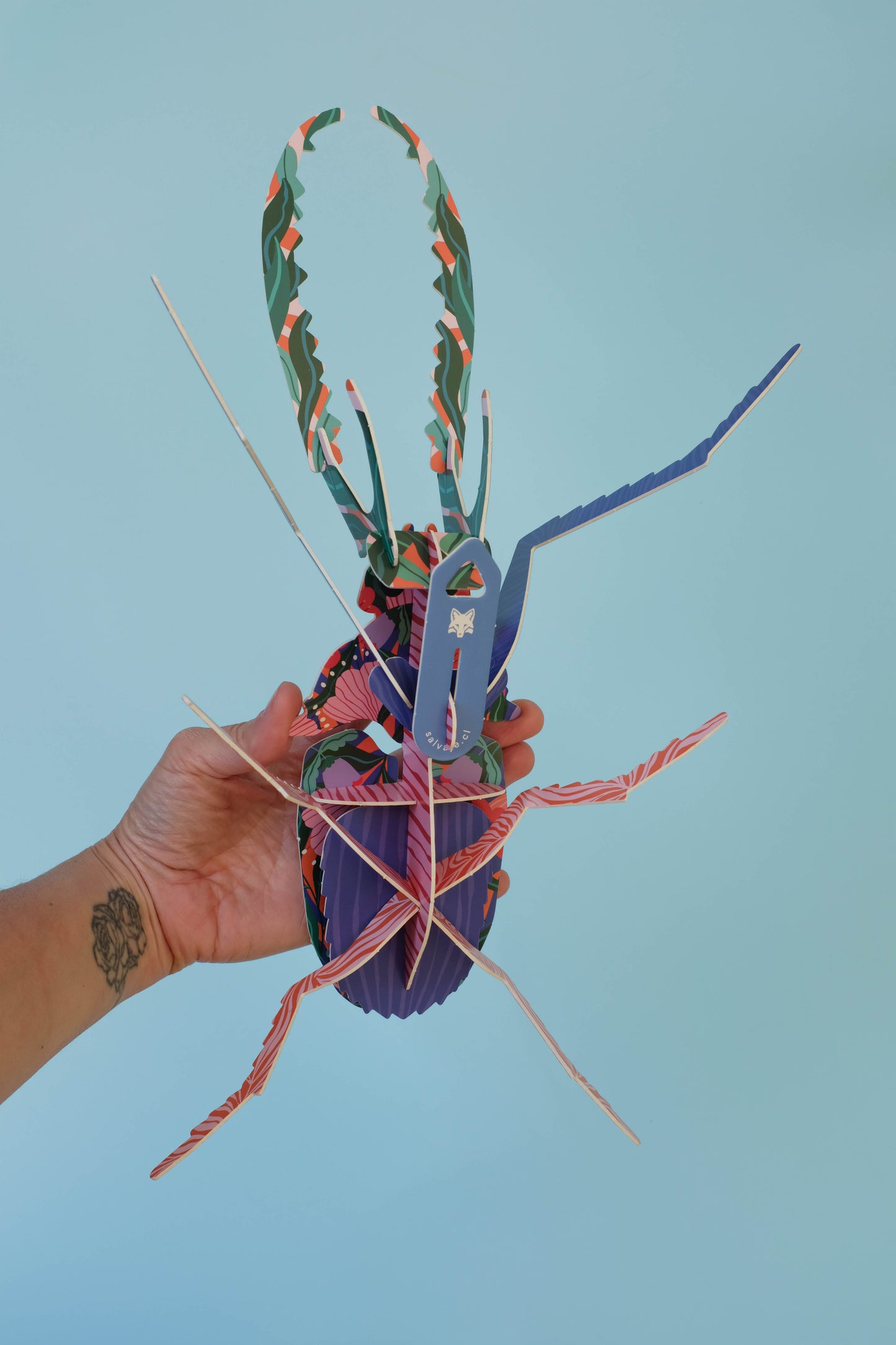 . Ciervo volante | Florido