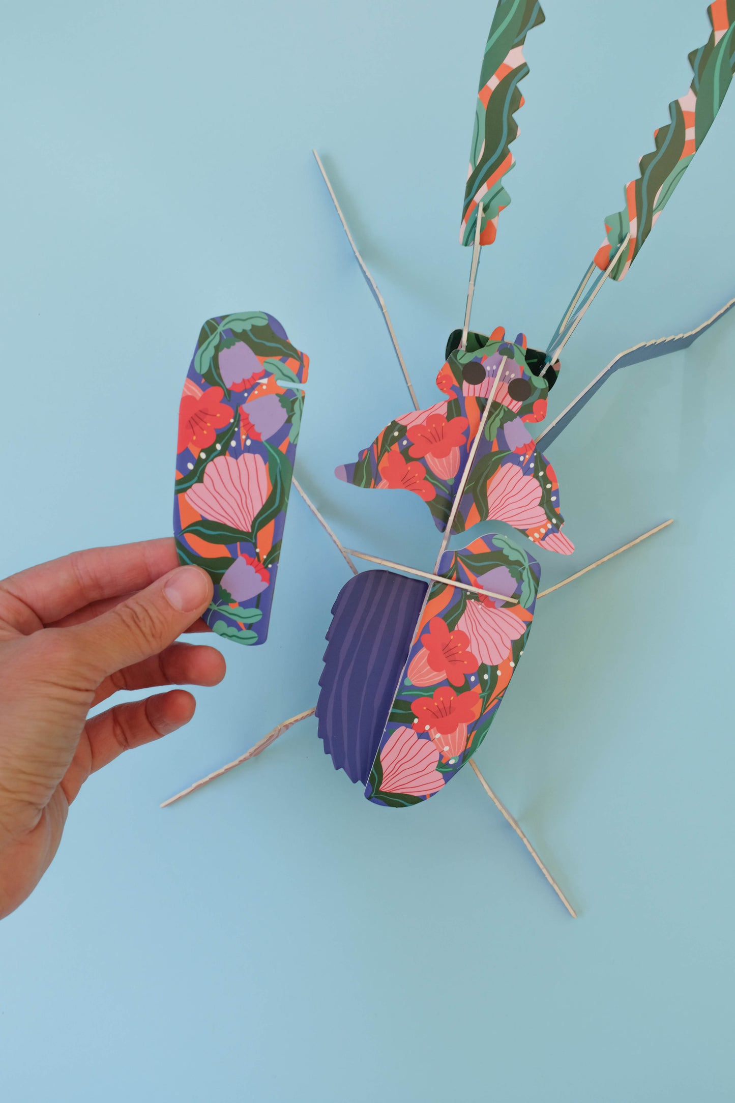 . Ciervo volante | Florido