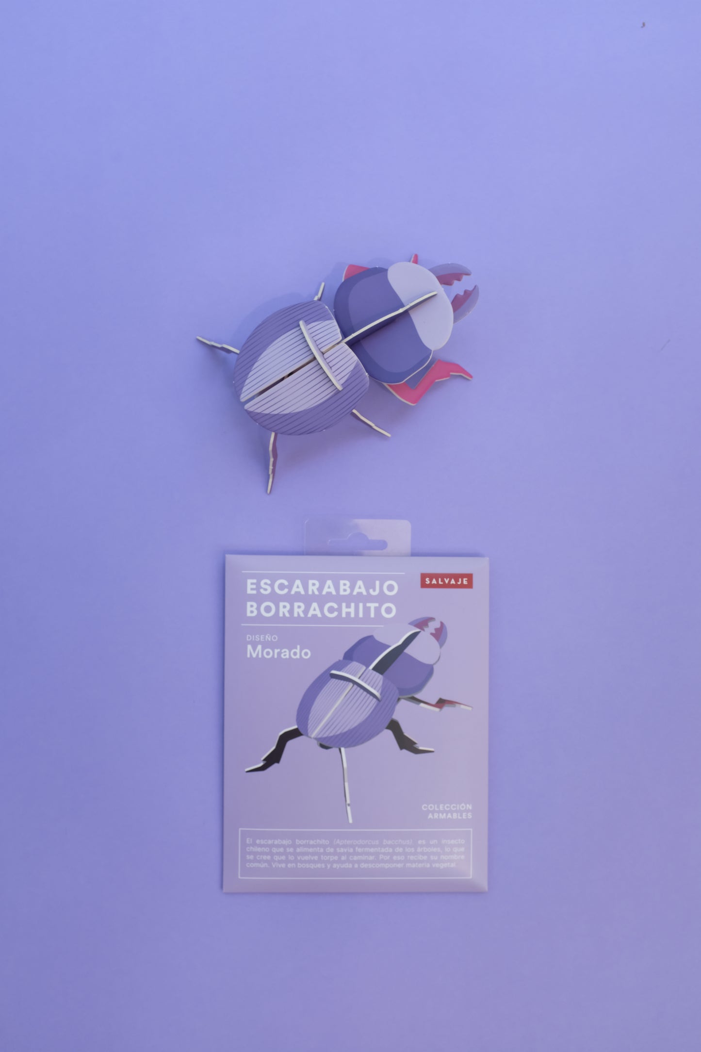 . Escarabajo borrachito | Morado