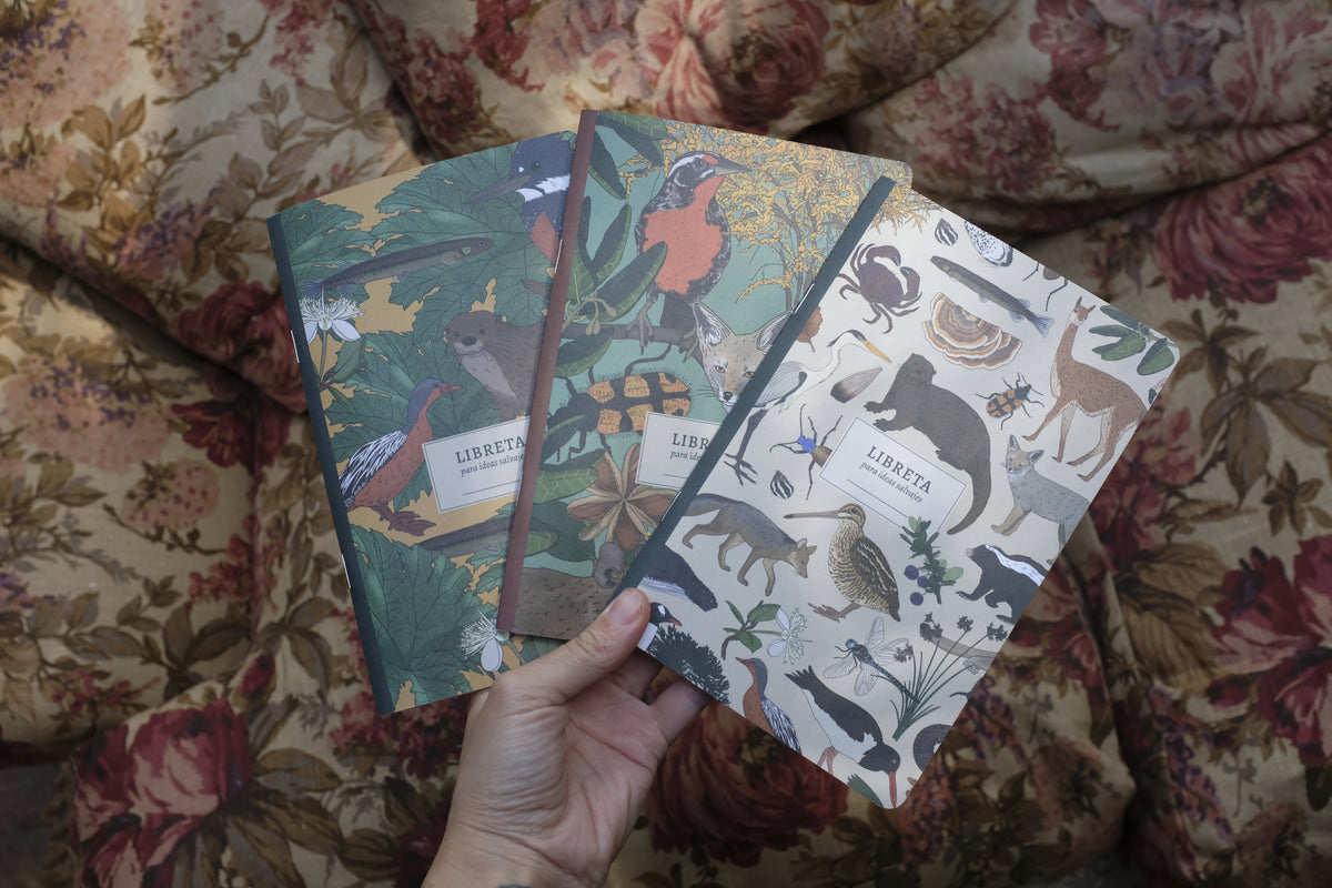 Pack 3 libretas