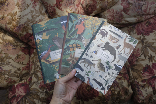 Pack 3 libretas