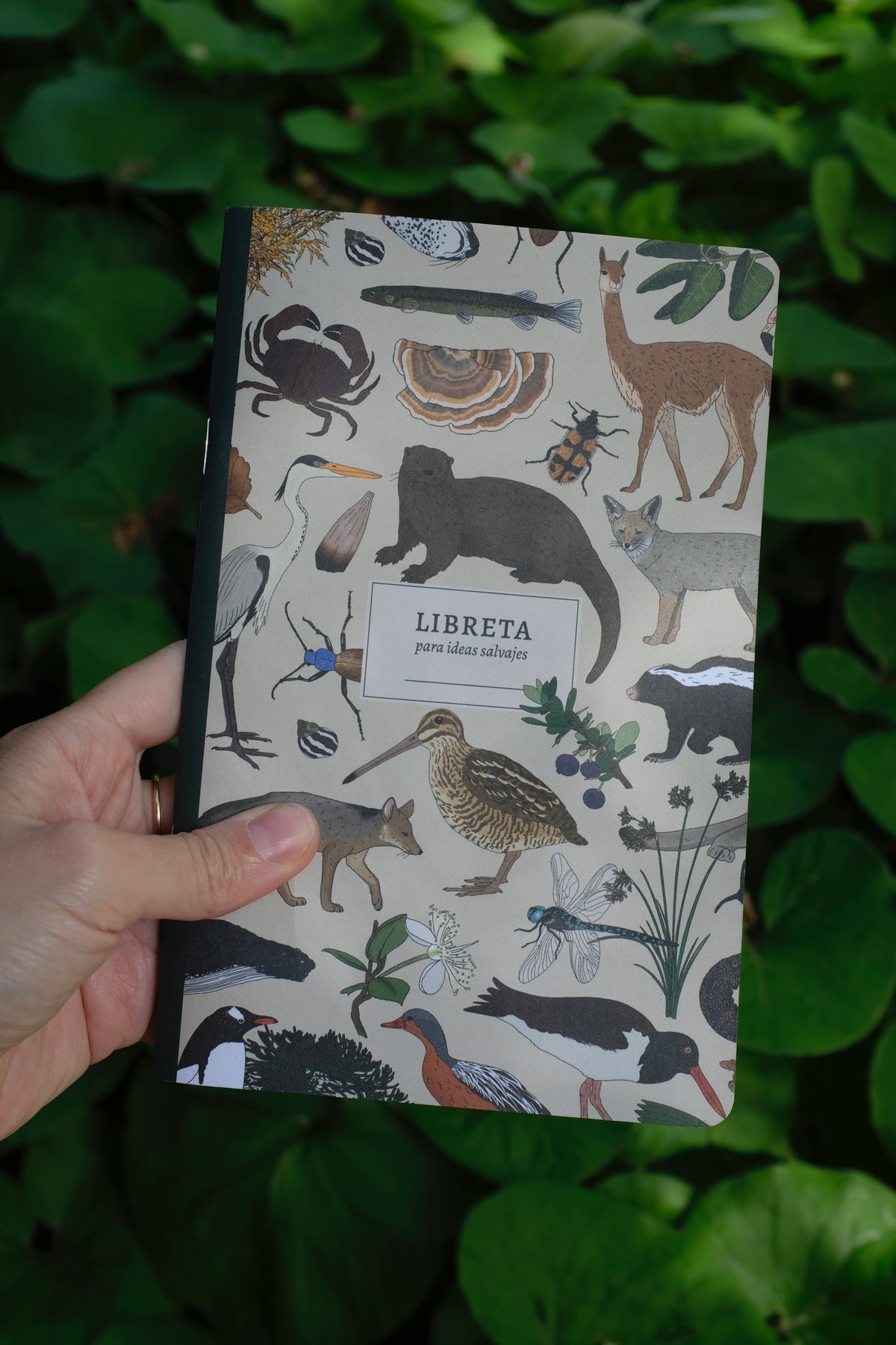 Libreta Ecosistemas