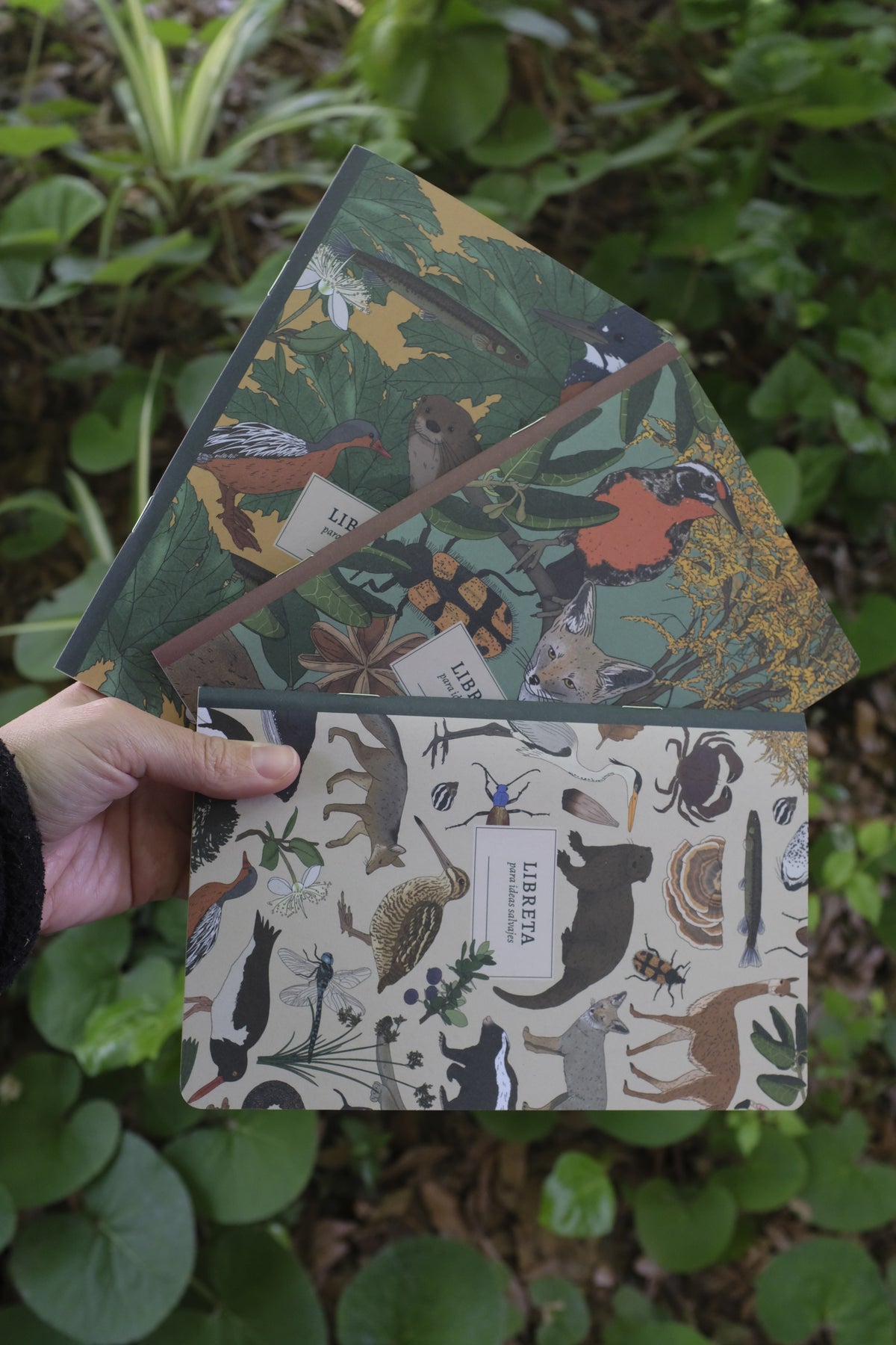 Pack 3 libretas