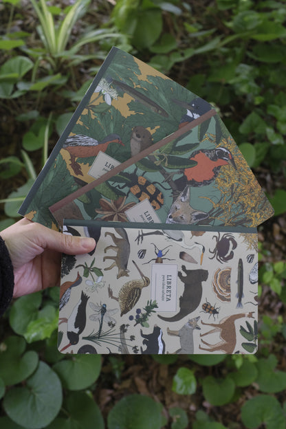 Pack 3 libretas