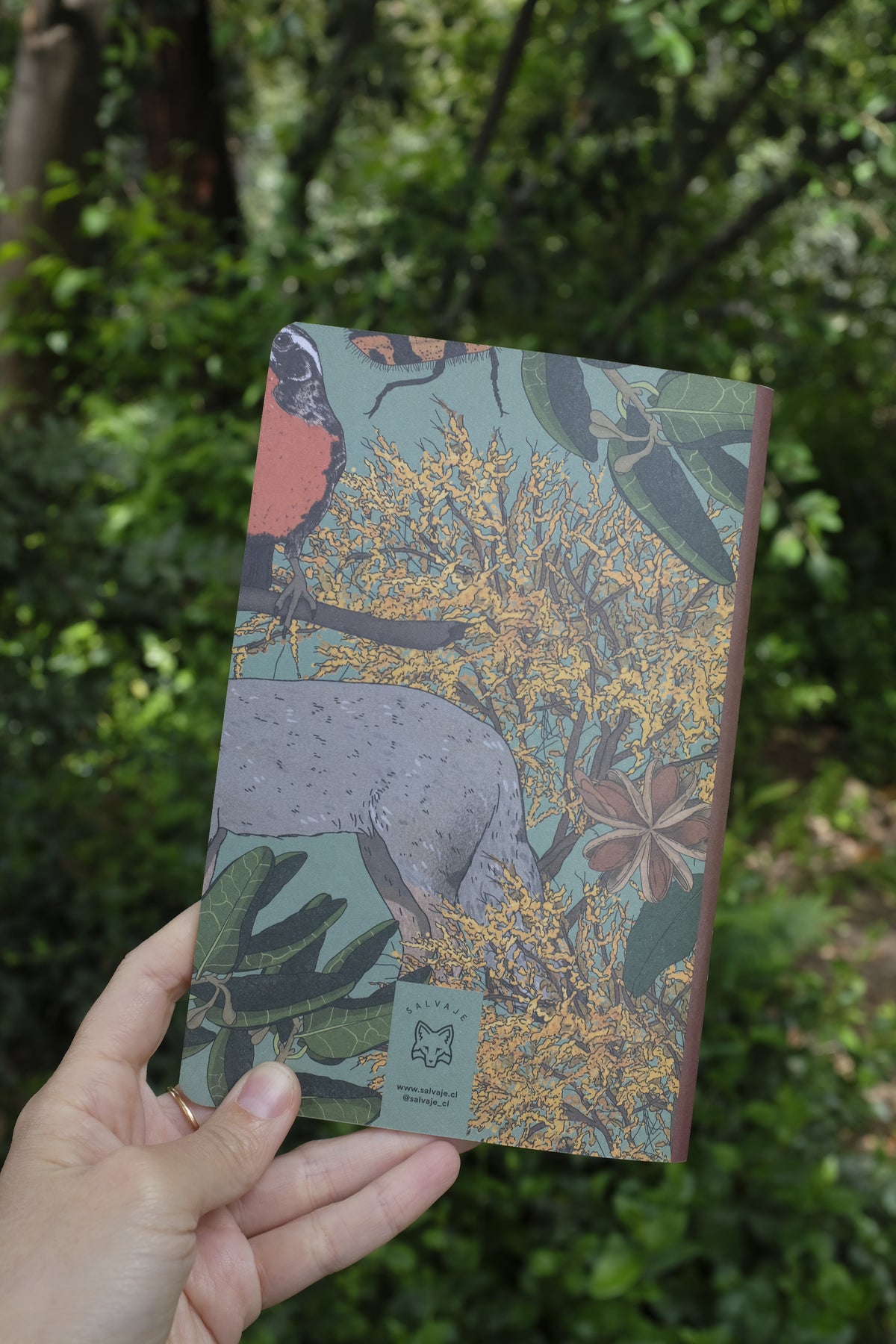 Libreta Espinal