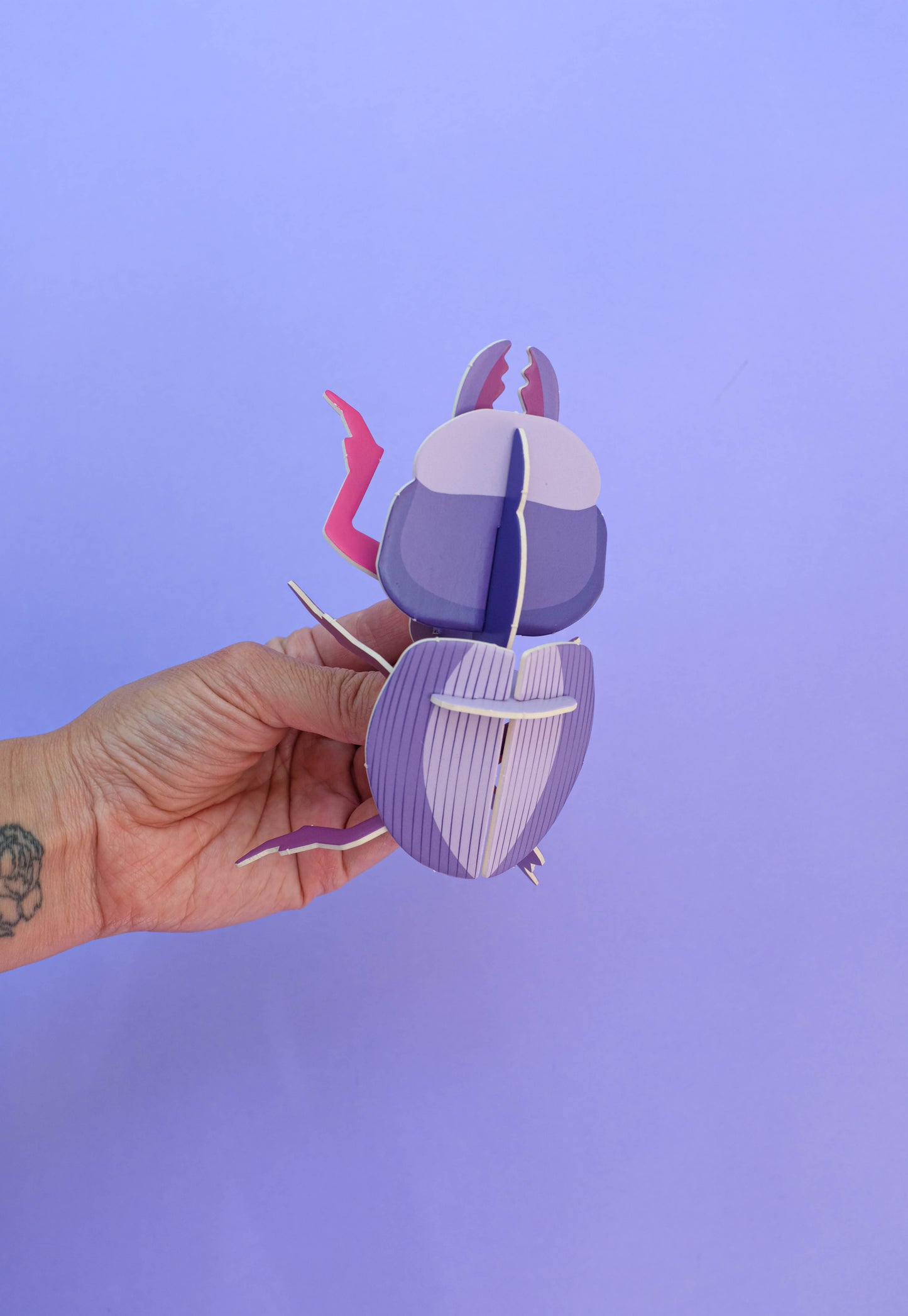 . Escarabajo borrachito | Morado