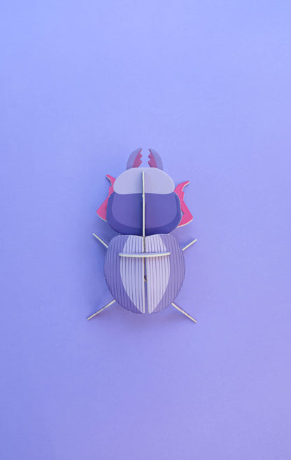 . Escarabajo borrachito | Morado