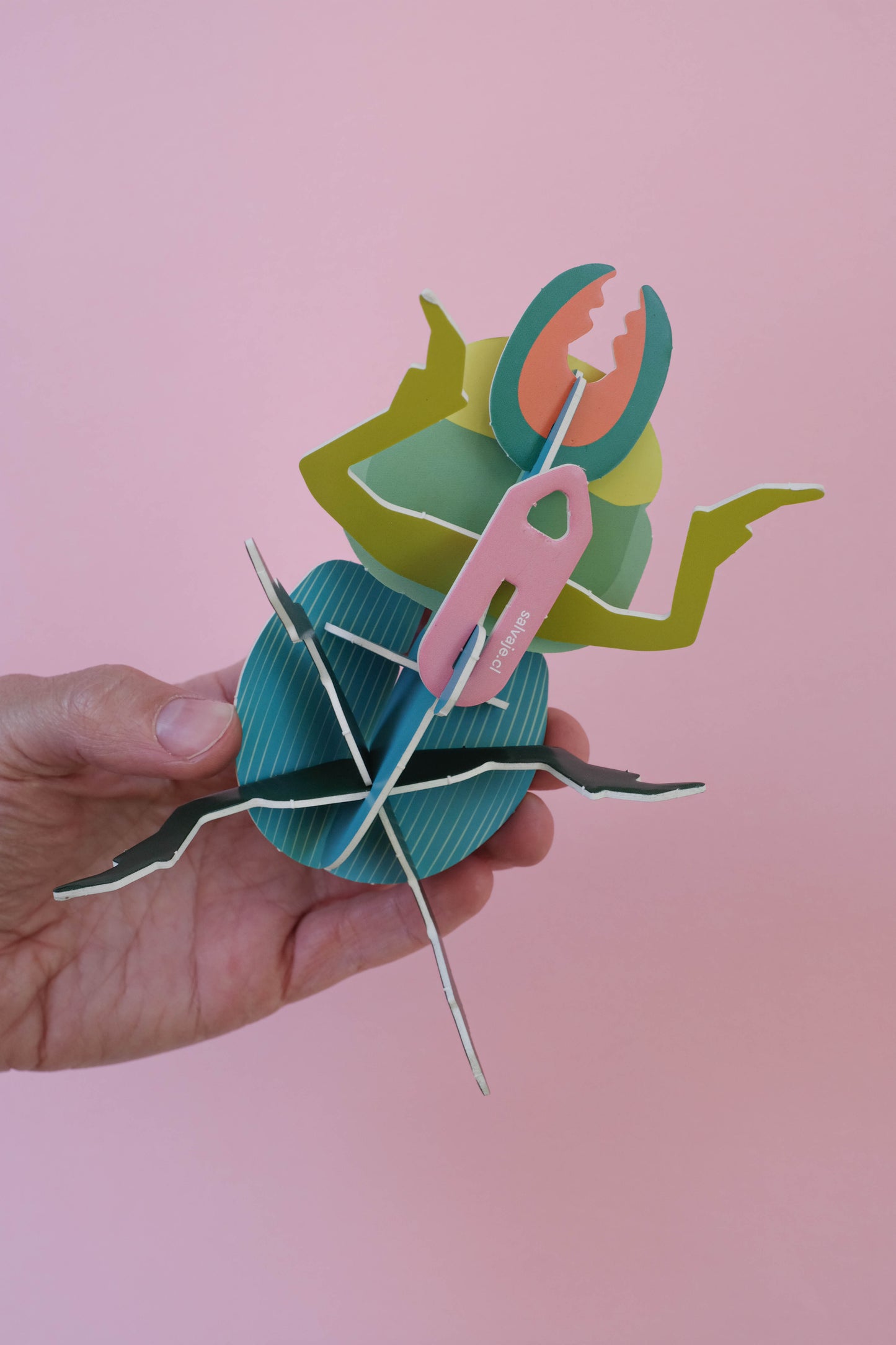 . Escarabajo borrachito | Turquesa