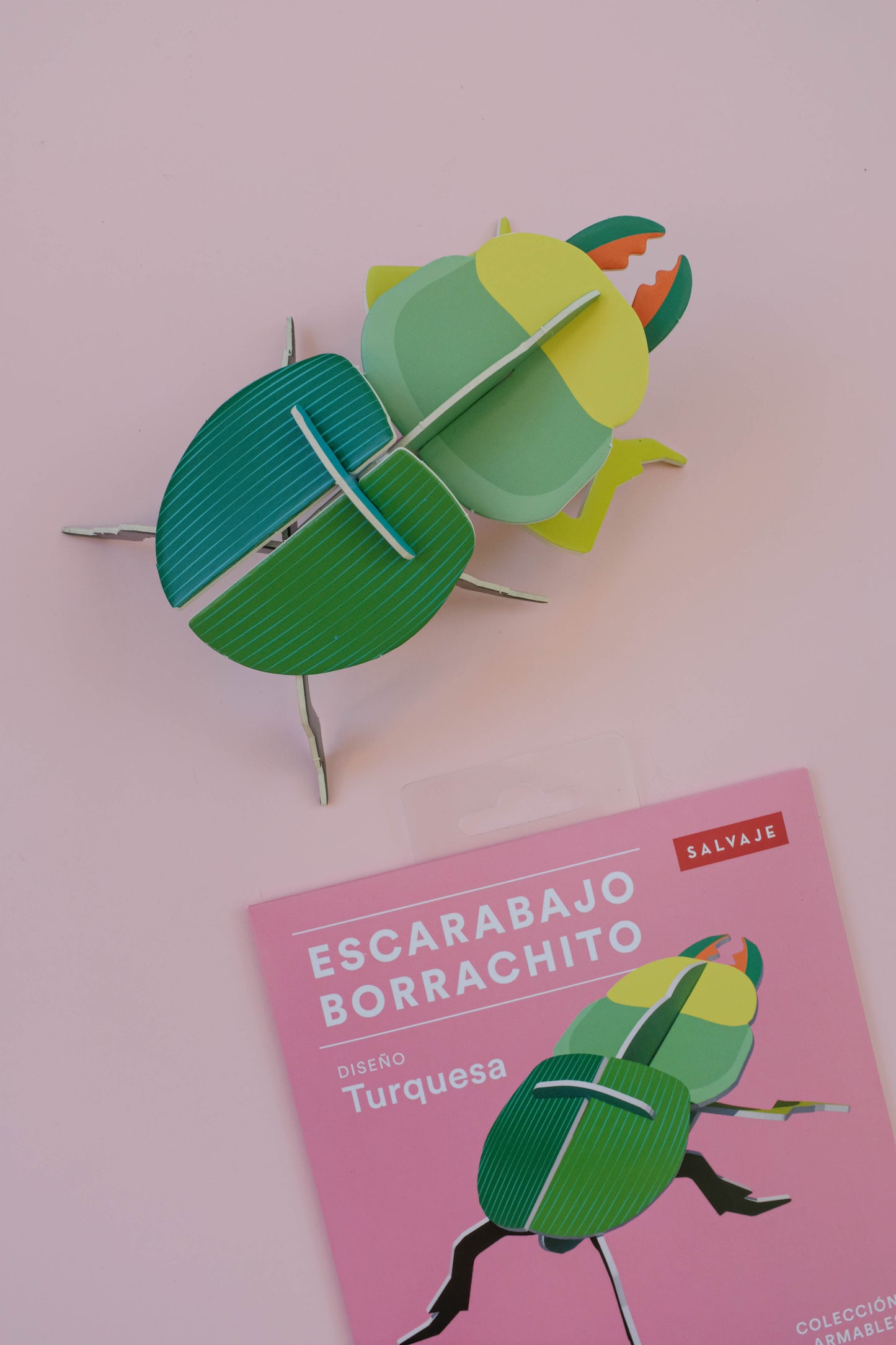 . Escarabajo borrachito | Turquesa