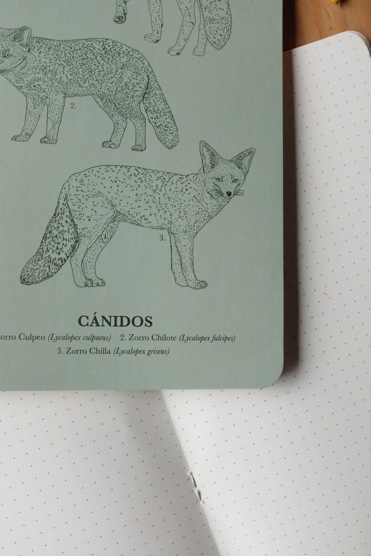 Promoción Calendario + Libreta de Notas
