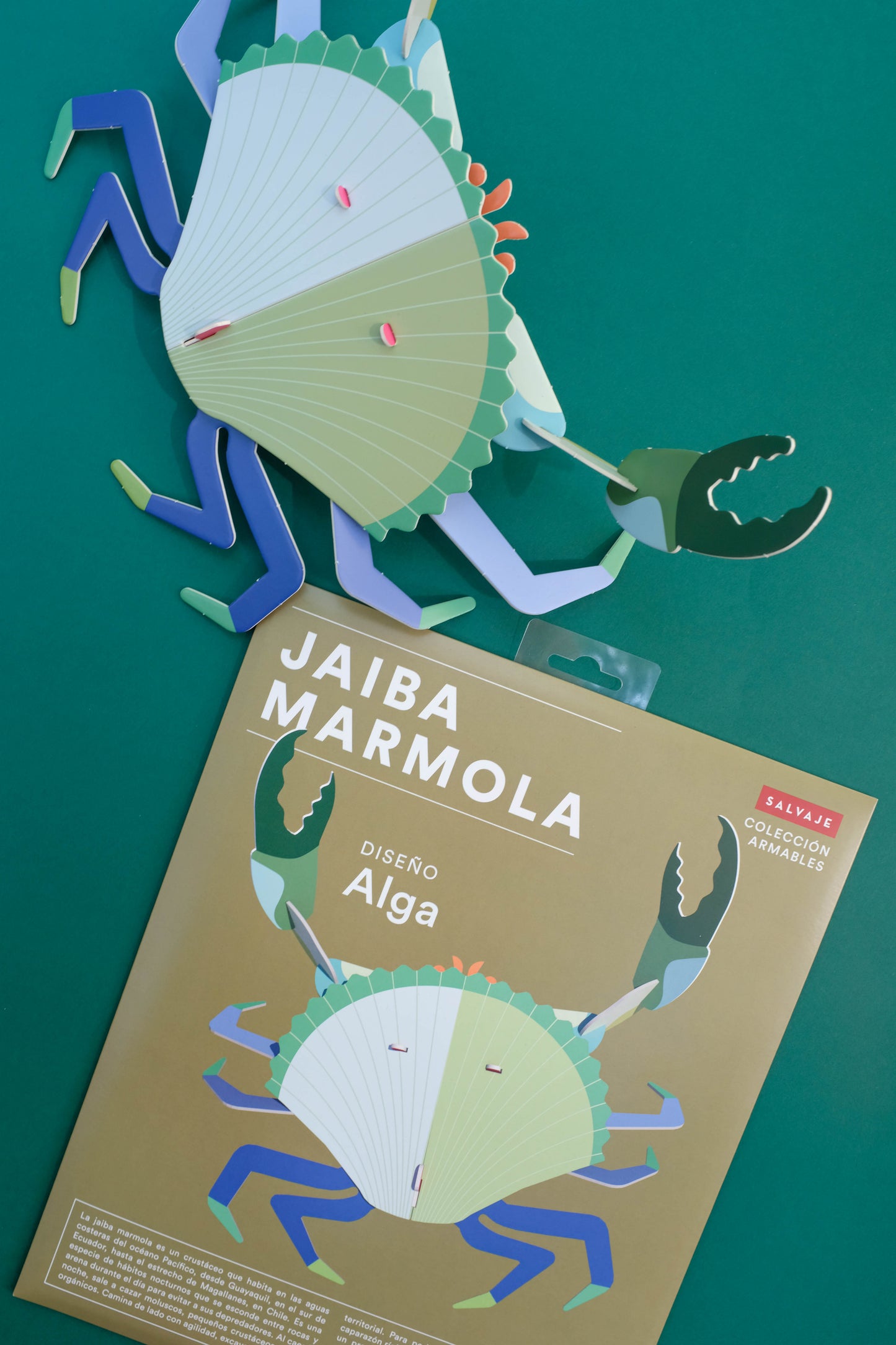 . Jaiba marmola | Alga