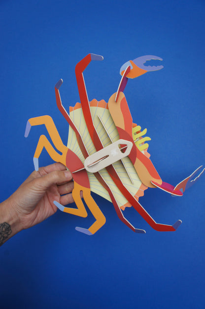 . Jaiba marmola | Arena