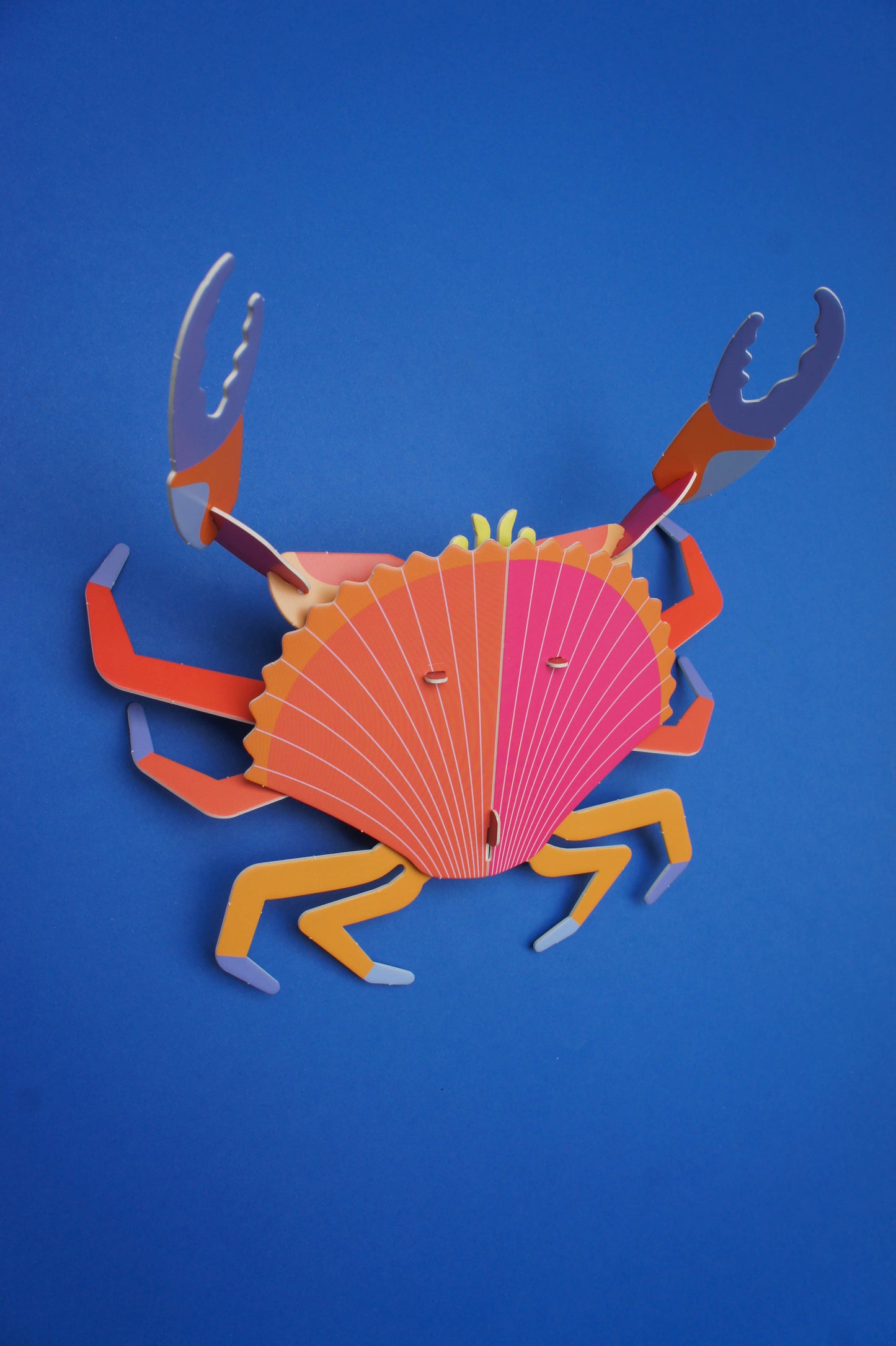 . Jaiba marmola | Arena