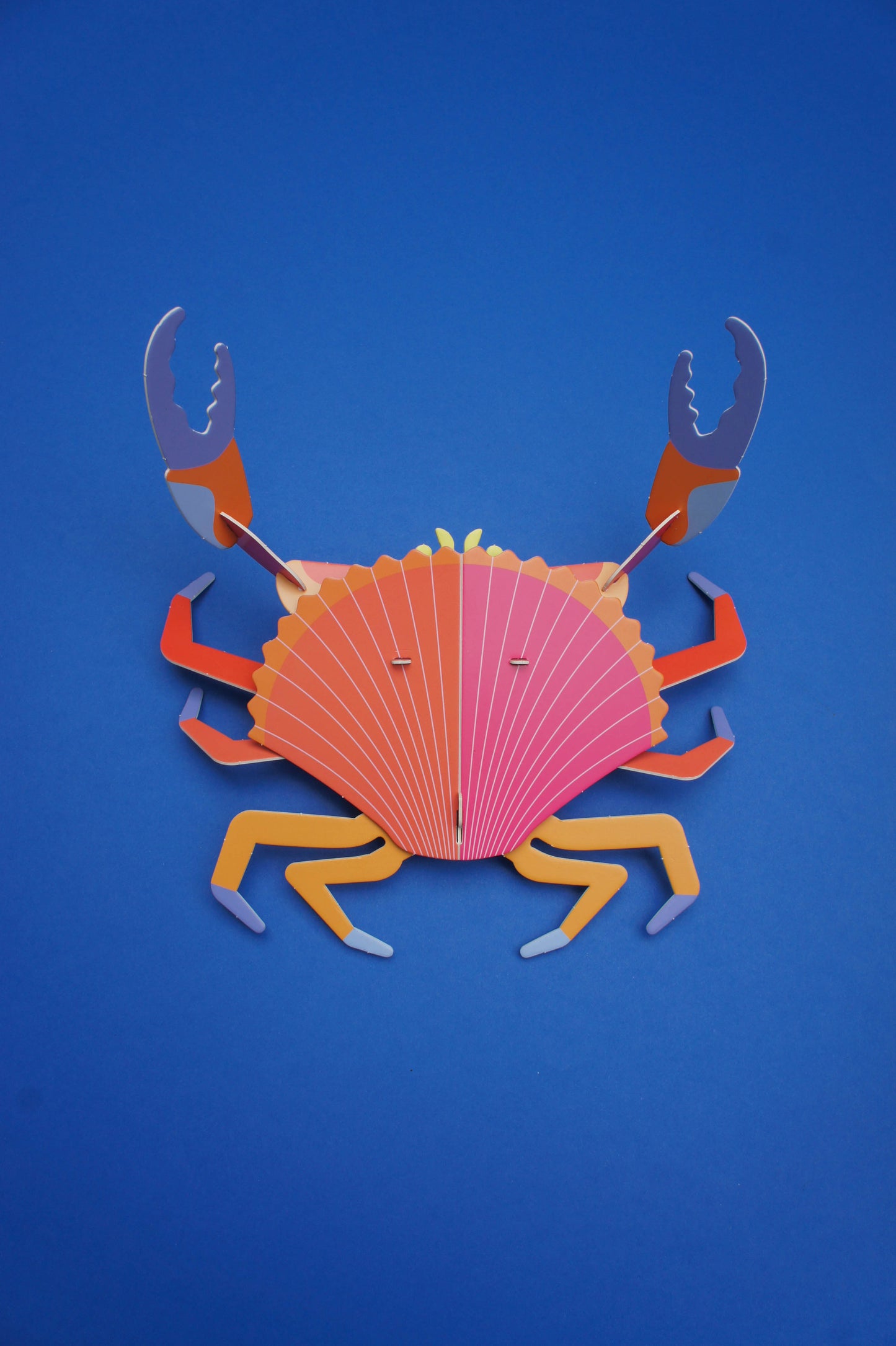 . Jaiba marmola | Arena