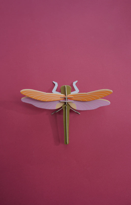 . Libélula / Matapiojos | Amanecer