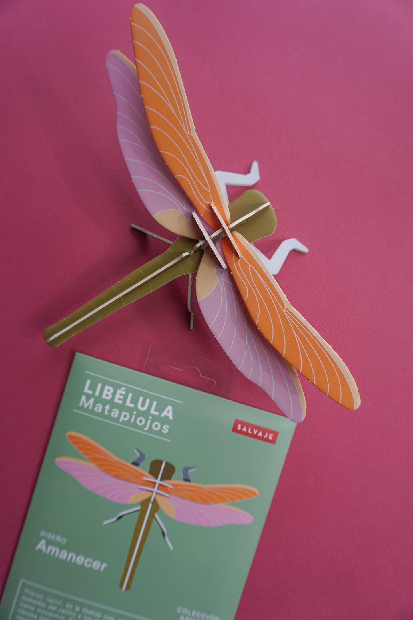 . Libélula / Matapiojos | Amanecer