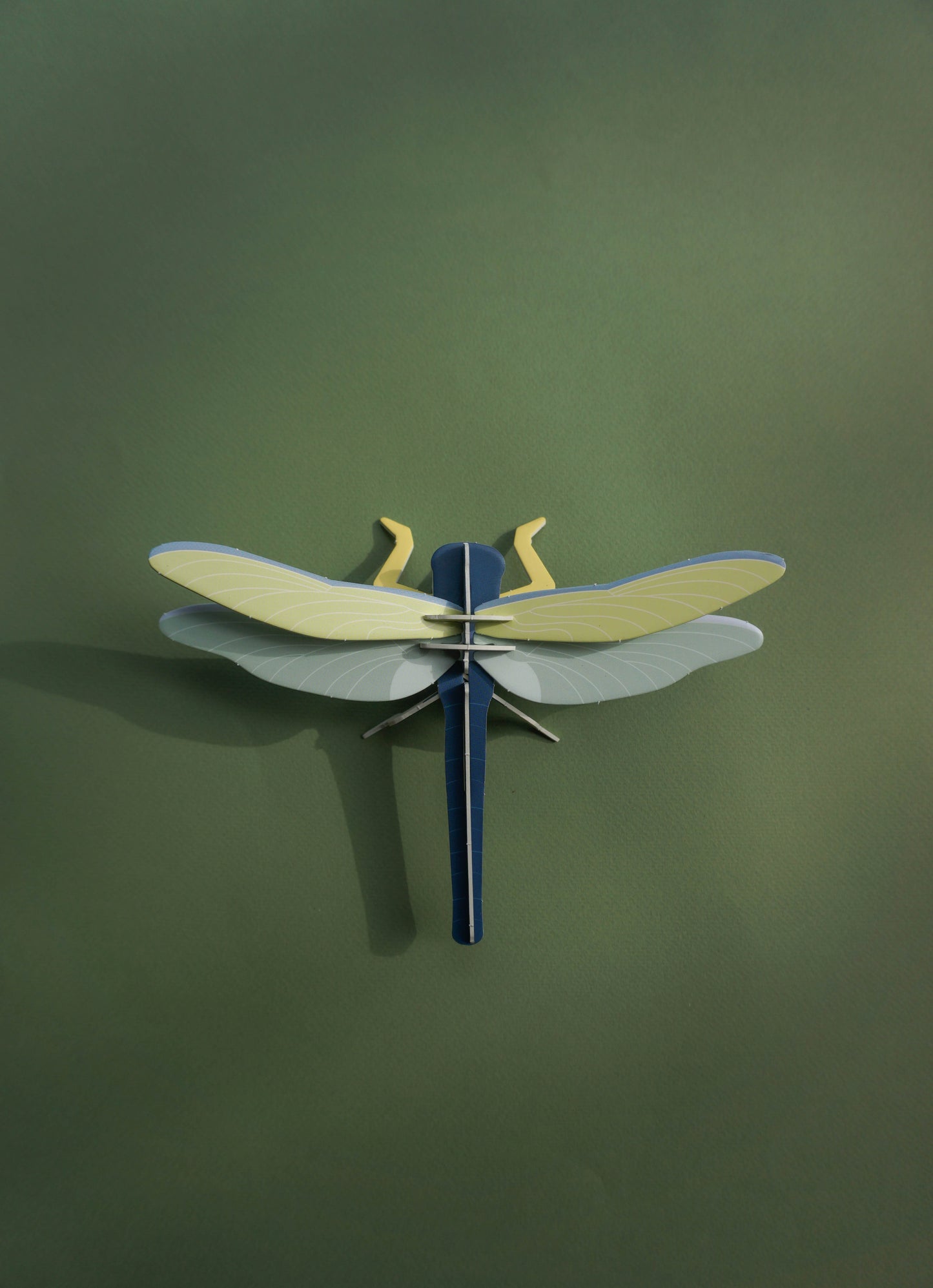 . Libélula / Matapiojos | Nocturna