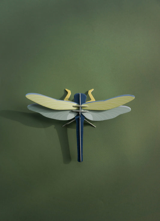 . Libélula / Matapiojos | Nocturna