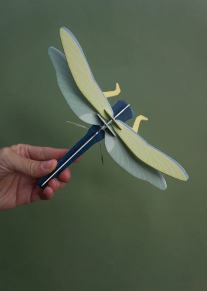 . Libélula / Matapiojos | Nocturna